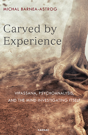Carved by Experience book cover